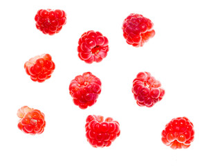 Juicy red raspberries on white background