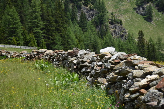 Fototapeta Holzzaun, Steinzaun, Mauer, Pfannspitze, Plattetörl, Steinmauer, Wetter, Berg, Tal, Osttirol, Lienz, Villgraten, Stallertal