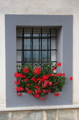 finestra con sbarre e fiori