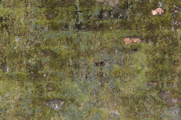 Verwitterte Wand mit Moos bewachsen