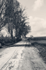 Black and white landscape, country road