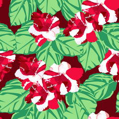 Red flower in the summer. flower seamless, pattern and background. Vector illustration.