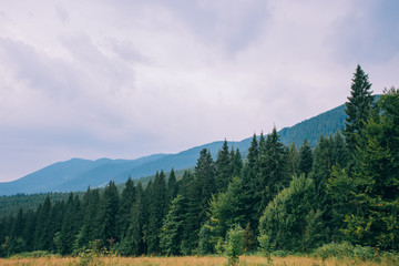 Carpathian mountains
