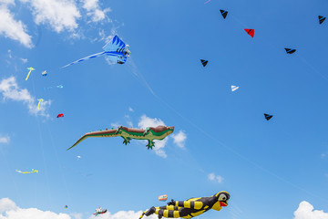 kites flying in a blue sky. Kites of various shapes.