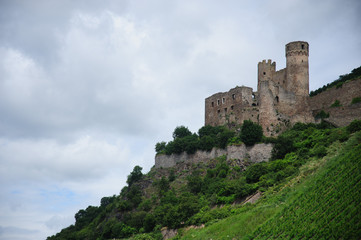 Fototapeta na wymiar Castle in the Rhine Valley