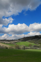 Fototapeta na wymiar Natural landscape, green fields and cloudy sky