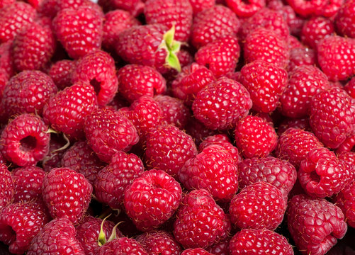 Many sweet fresh raspberry fruit