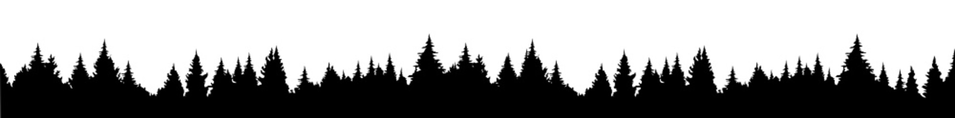 Silhouette - Nadelwald