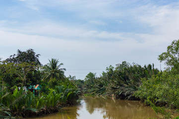 Obraz premium Narrow channel in jungle