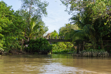 Fototapeta na wymiar Small canal in Mekong Delta.