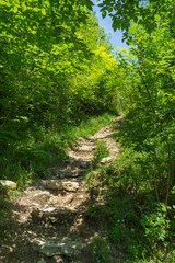 Stone staircase leading up