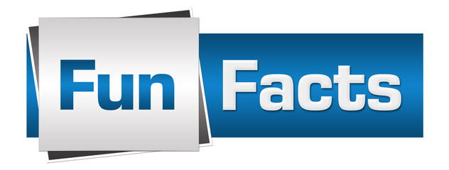 Fun Facts Blue Grey Horizontal 