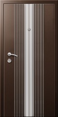 Entrance door (metal door, concept)