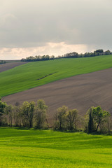 Rural landscape on a spring day