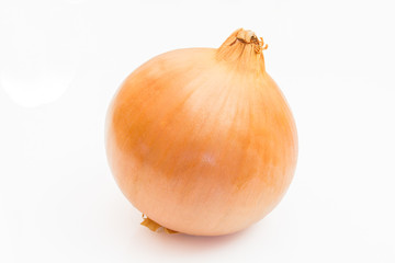 oignon
