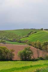 Fototapeta na wymiar Green meadows and plowed fields, natural landscape