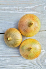 Bulb oniony the ripe