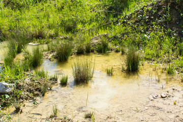 Wasseransammlung in Lehmkuhle