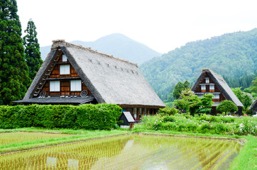 世界遺産・春の白川郷（岐阜県）