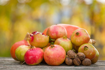autumn fruits