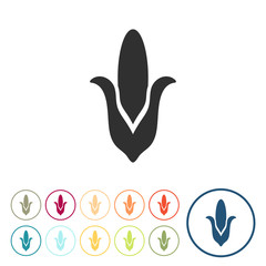 Runde Schaltflächen - Maiskolben