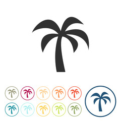 Runde Schaltflächen - Palme - Urlaub