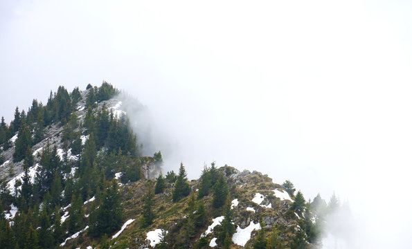 La t&ecirc;te dans les nuages