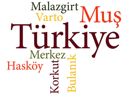 Turkish city Mus subdivisions in word clouds