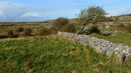 Landschaft im Burren