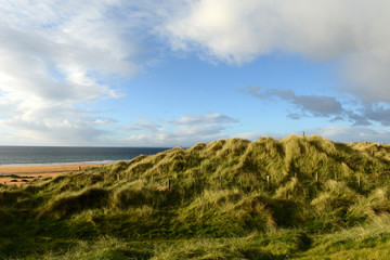 Düne an der irischen Küste