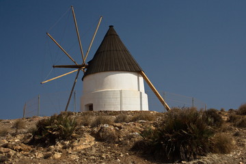 Windmühle bei San Jose