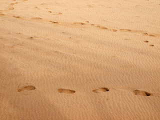 Fototapeta na wymiar Huellas en la arena / Footprints in the sand