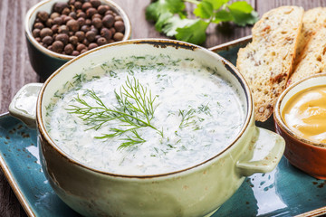 Cold soup or summer yoghurt with radish, cucumber, dill, herbs and crackers on dark wooden background. Okroshka.