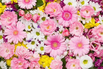 Bunter Blumen Hintergrund aus weissen, gelben und rosa Blüten