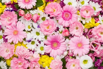 Crédence de cuisine en verre imprimé Gerbera Bunter Blumen Hintergrund aus weissen, gelben und rosa Blüten