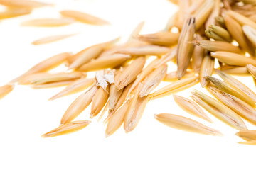 Grain of oats isolated on white background