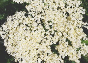 Processed with VSCO with t1 preset