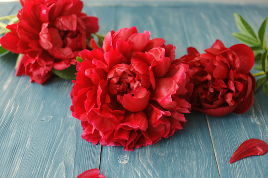 Fototapeta Dark red peonies on an old wooden background