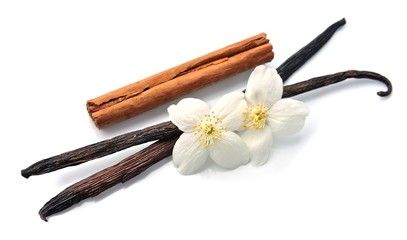 Vanilla stick and cinnamon sticks.