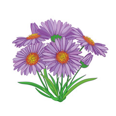 Vector bouquet with outline Alpine aster flower in purple, bud and green leaf isolated on white background. Ornamental Alpine mountain flower in contour style for summer design.