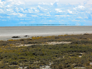 Etosha national Park, Namibia