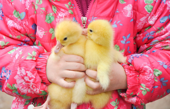 「Gosse」の写真素材 994件の無料イラスト画像 Adobe Stock