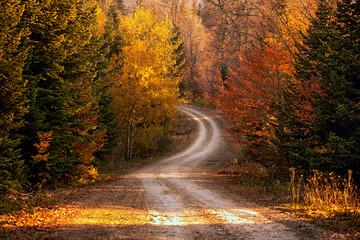 Obraz premium Autumn