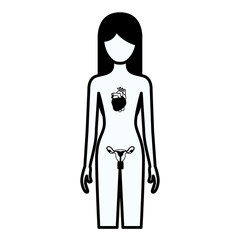black silhouette thick contour of female person with circulatory and reproductive system of human body vector illustration