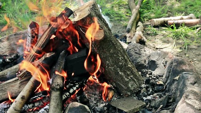 Burning wood . Campfire Flames