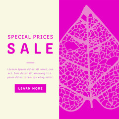 Special price sale brochure card with leaf on pink background