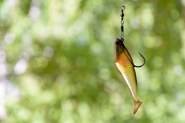 Bait number 4 for catching predatory fish in lakes and rivers.