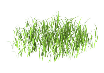 3D Rendering Patch of Grass on White - obrazy, fototapety, plakaty