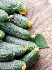 Fresh, raw, green cucumbers close-up view