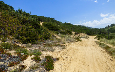 Fototapeta na wymiar Hiking path near Praia do Magoito in Sintra, Portugal